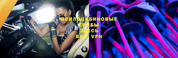 МДПВ Сатка