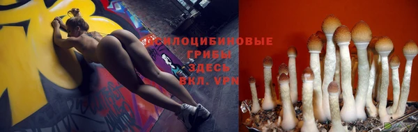 соль ск Сафоново