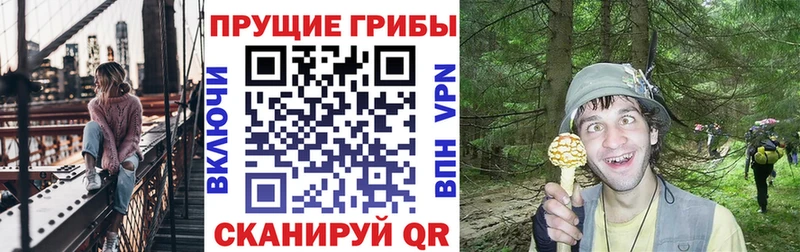 ОМГ ОМГ зеркало  Киренск  Псилоцибиновые грибы Magic Shrooms 